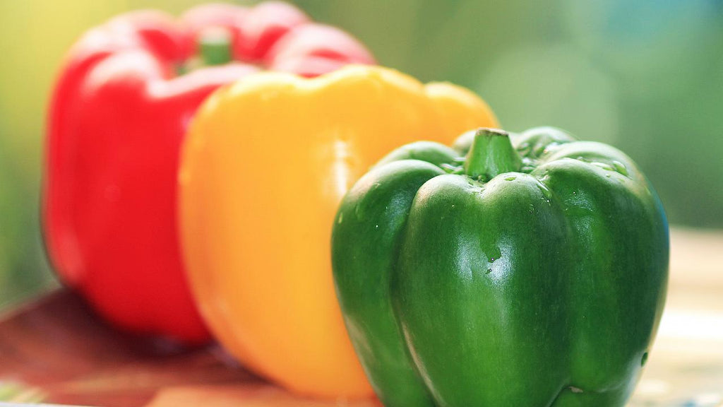 Mexican Chiles, Tomatos, and Herbs Grown Hydroponically