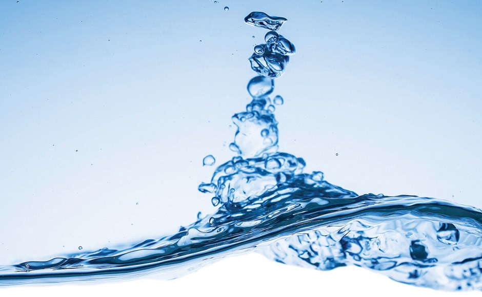 How Reverse Osmosis Benefits Plants